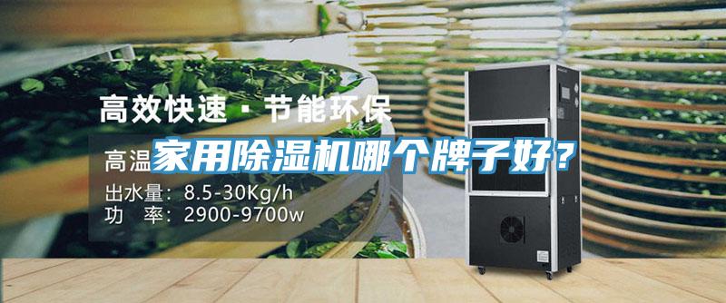 家用除湿机哪个牌子好？