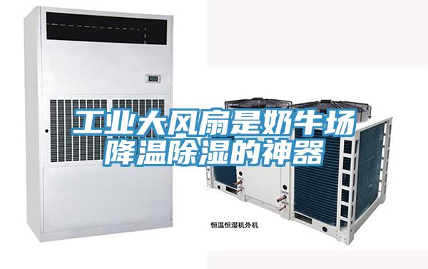 工业大风扇是奶牛场降温除湿的神器