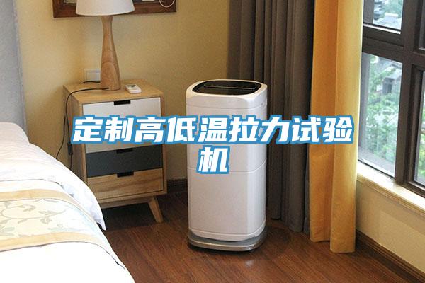 定制高低温拉力试验机