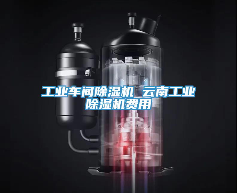 工业车间除湿机 云南工业除湿机费用