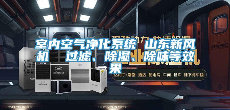 室内空气净化系统 山东新风机  过滤、除湿、除味等效果