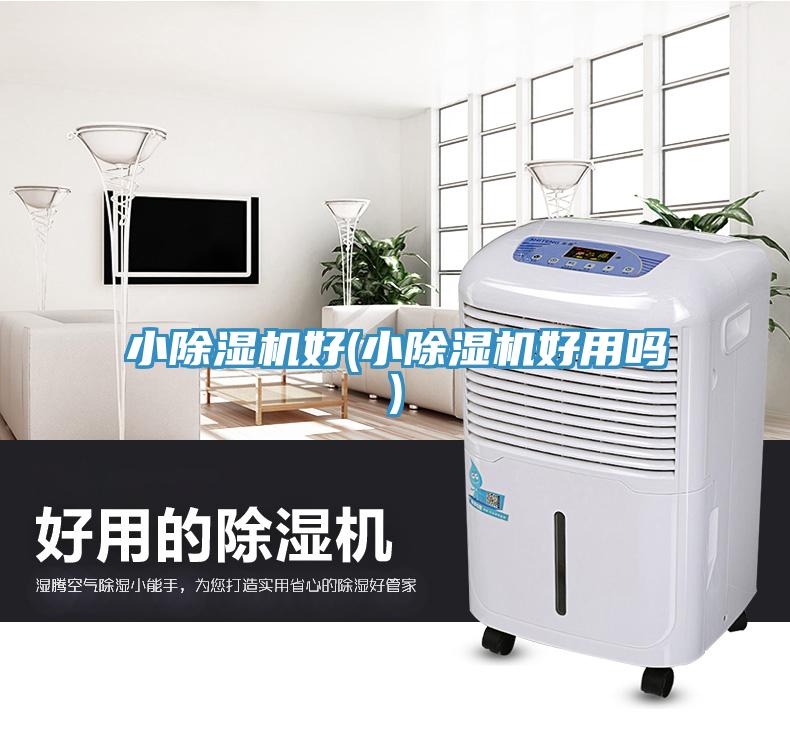 小除湿机好(小除湿机好用吗)