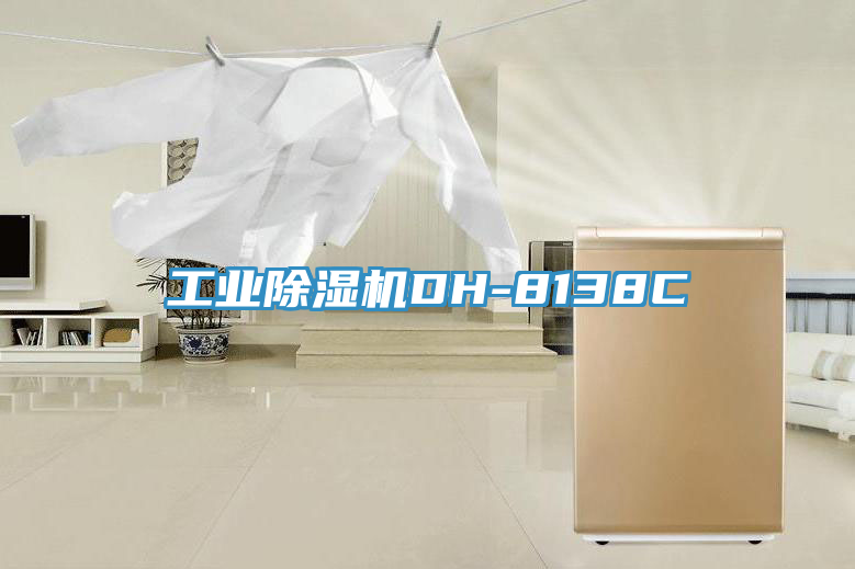 工业除湿机DH-8138C