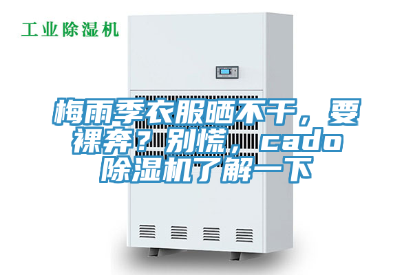 梅雨季衣服晒不干，要裸奔？别慌，cado除湿机了解一下