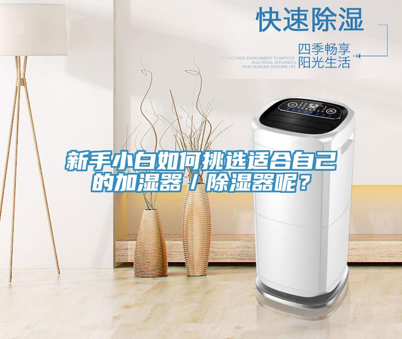 新手小白如何挑选适合自己的加湿器／除湿器呢？