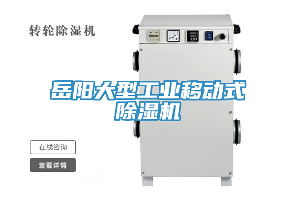 岳阳大型工业移动式除湿机