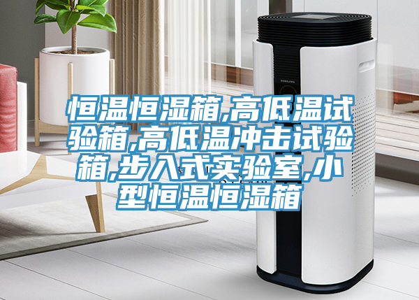 恒温恒湿箱,高低温试验箱,高低温冲击试验箱,步入式实验室,小型恒温恒湿箱