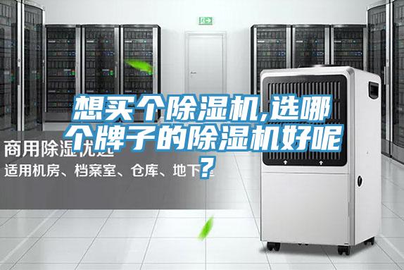 想买个除湿机,选哪个牌子的除湿机好呢？