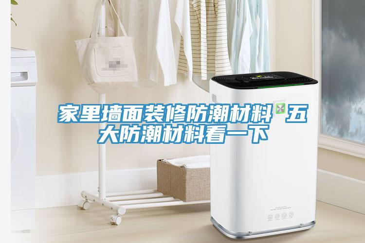 家里墙面装修防潮材料 五大防潮材料看一下