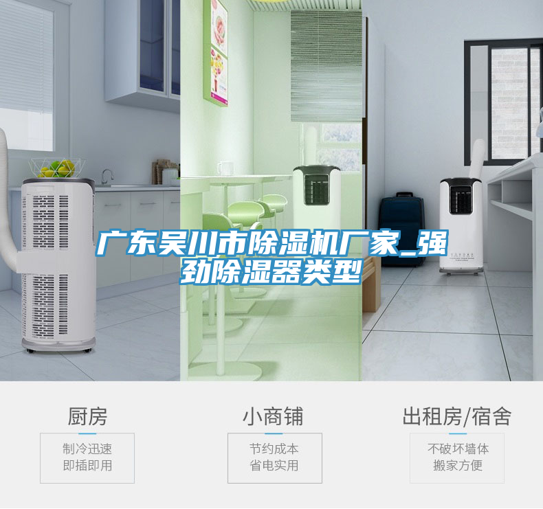 广东吴川市除湿机厂家_强劲除湿器类型
