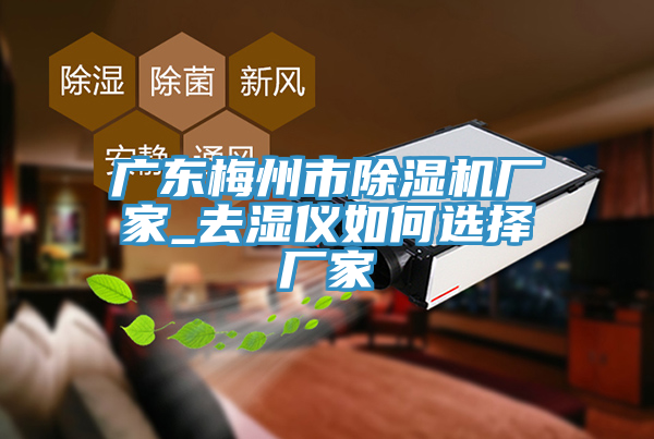 广东梅州市除湿机厂家_去湿仪如何选择厂家
