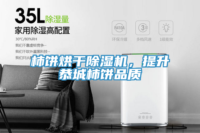 柿饼烘干除湿机，提升恭城柿饼品质