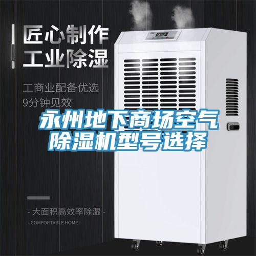 永州地下商场空气除湿机型号选择