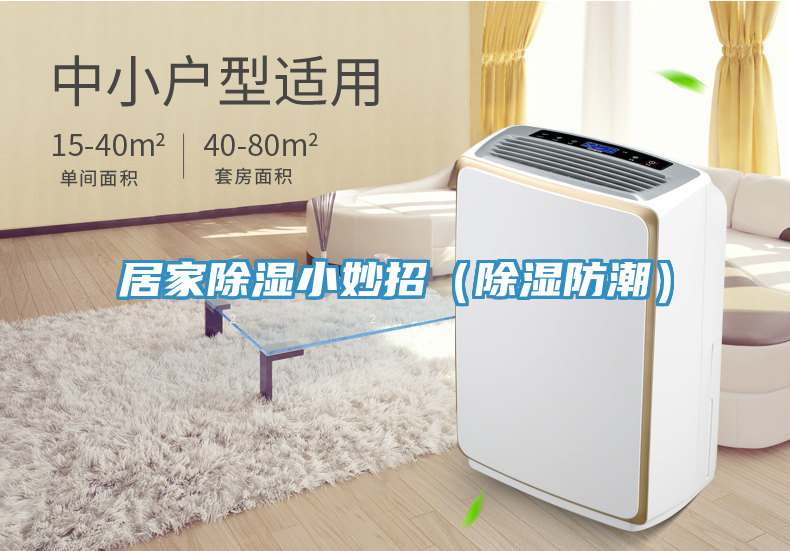居家除湿小妙招（除湿防潮）