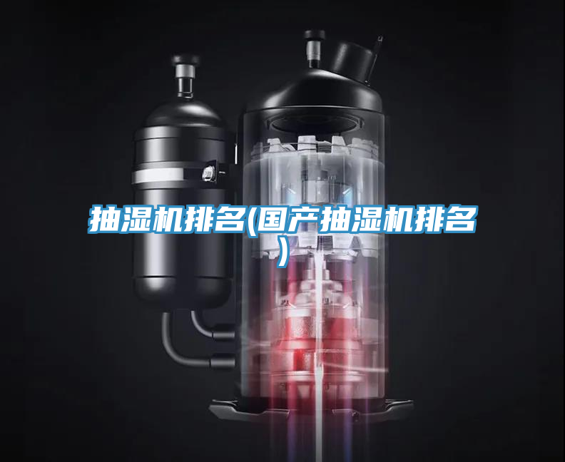 抽湿机排名(国产抽湿机排名)