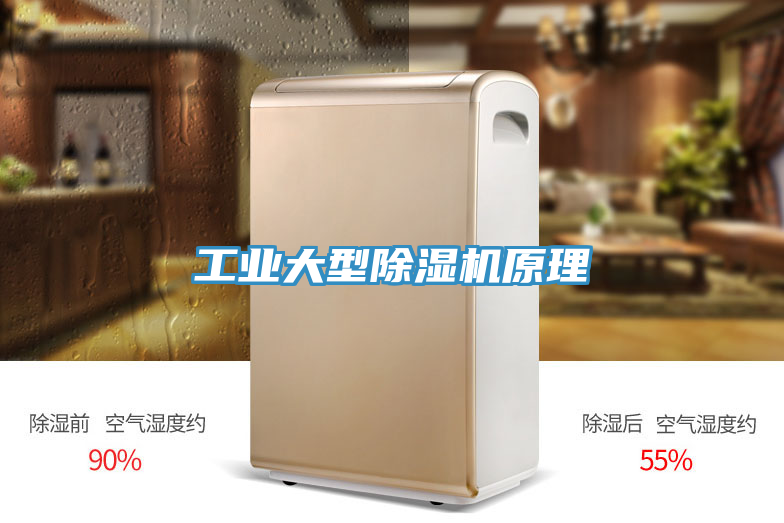 工业大型除湿机原理
