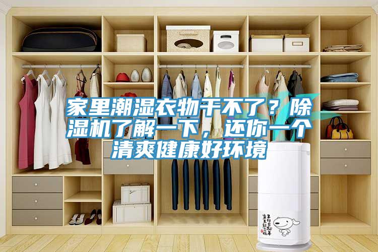 家里潮湿衣物干不了？除湿机了解一下，还你一个清爽健康好环境