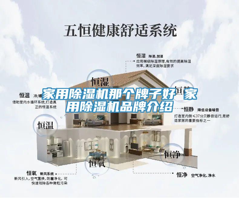 家用除湿机那个牌子好 家用除湿机品牌介绍