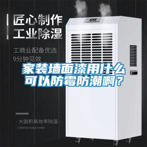 家装墙面漆用什么可以防霉防潮啊？