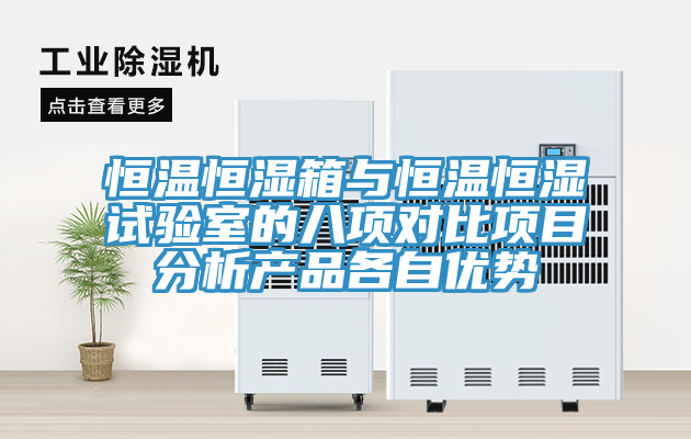 恒温恒湿箱与恒温恒湿试验室的八项对比项目分析产品各自优势