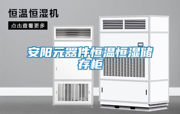 安阳元器件恒温恒湿储存柜