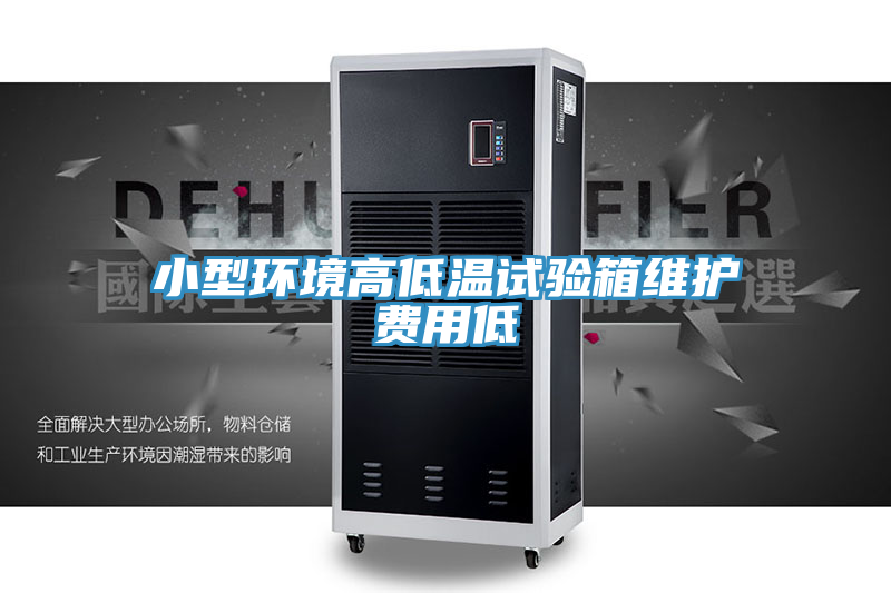 小型环境高低温试验箱维护费用低