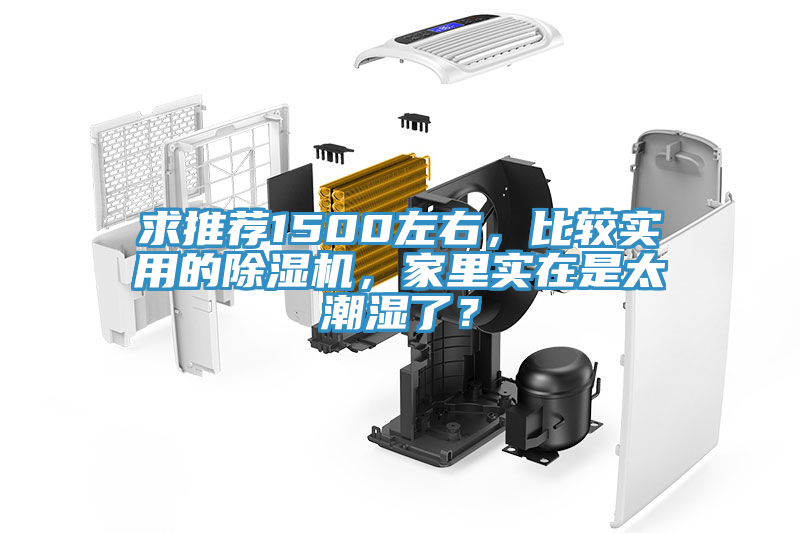 求推荐1500左右，比较实用的除湿机，家里实在是太潮湿了？