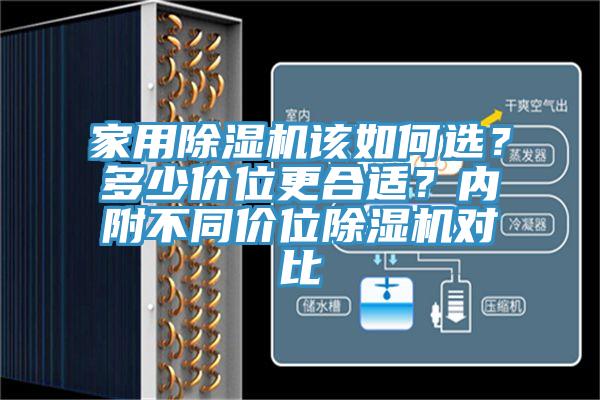 家用除湿机该如何选？多少价位更合适？内附不同价位除湿机对比