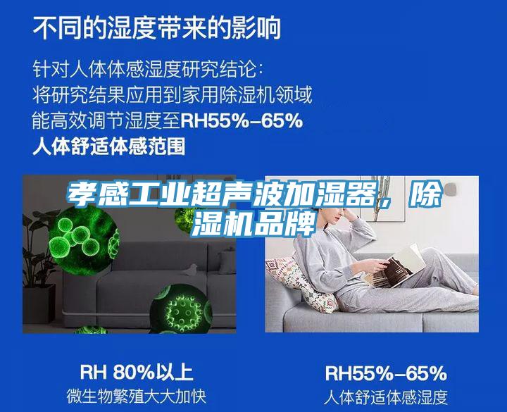 孝感工业超声波加湿器，除湿机品牌