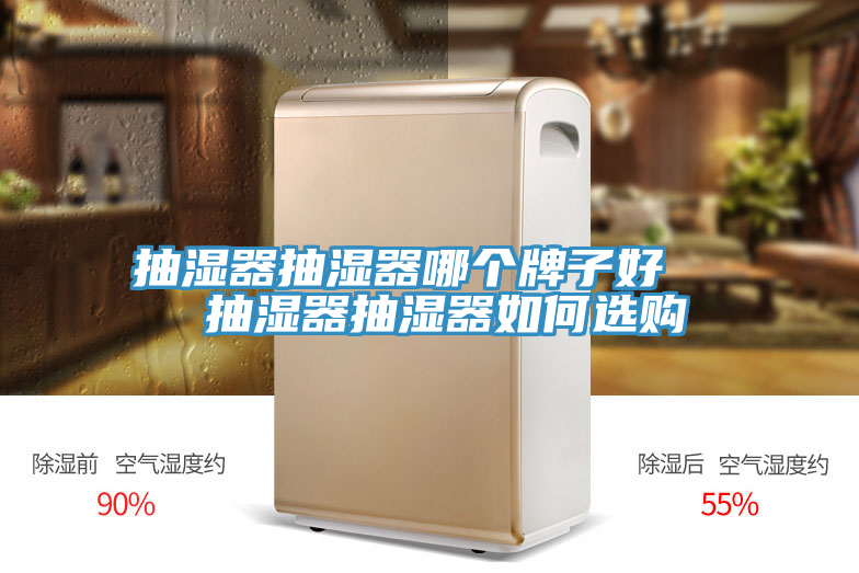 抽湿器抽湿器哪个牌子好   抽湿器抽湿器如何选购