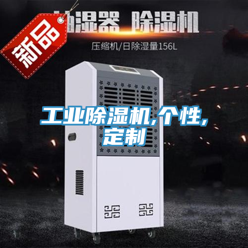 工业除湿机,个性,定制