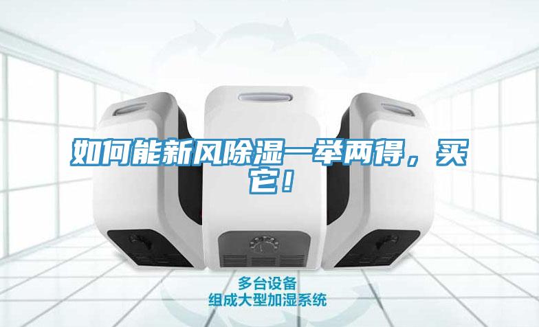 如何能新风除湿一举两得，买它！
