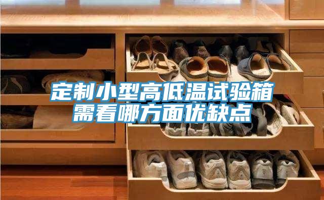 定制小型高低温试验箱需看哪方面优缺点