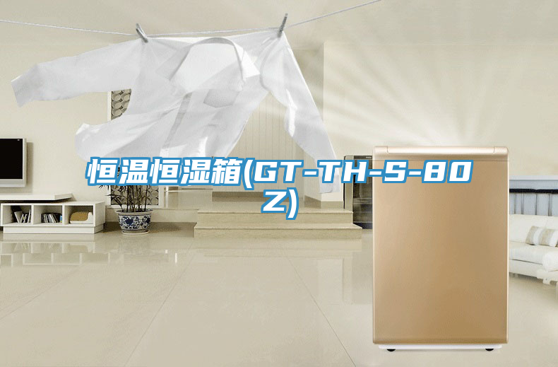 恒温恒湿箱(GT-TH-S-80Z)