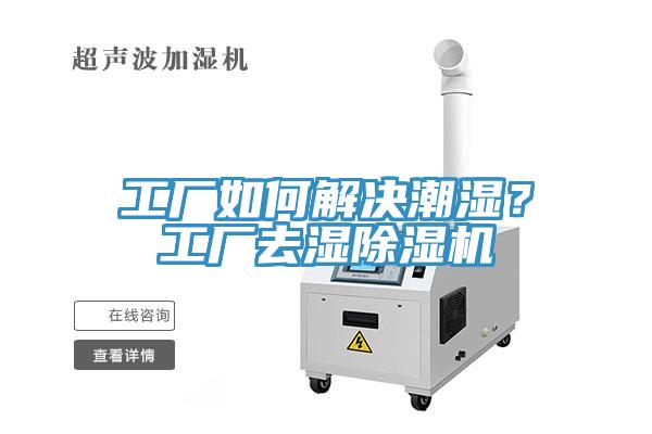 工厂如何解决潮湿？工厂去湿除湿机