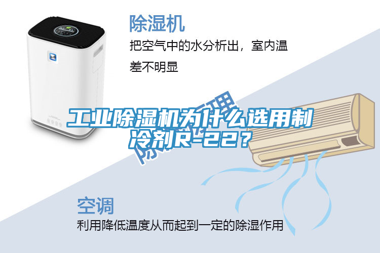 工业除湿机为什么选用制冷剂R-22？