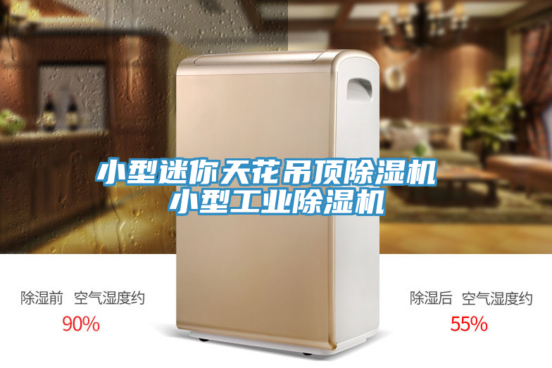 小型迷你天花吊顶除湿机 小型工业除湿机