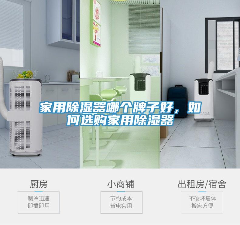 家用除湿器哪个牌子好，如何选购家用除湿器