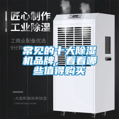 常见的十大除湿机品牌，看看哪些值得购买