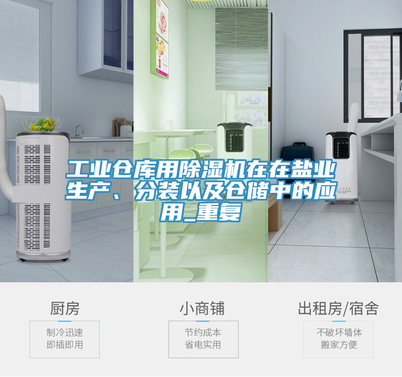 工业仓库用除湿机在在盐业生产、分装以及仓储中的应用_重复