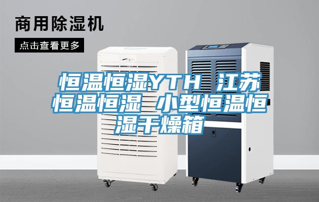 恒温恒湿YTH 江苏恒温恒湿 小型恒温恒湿干燥箱