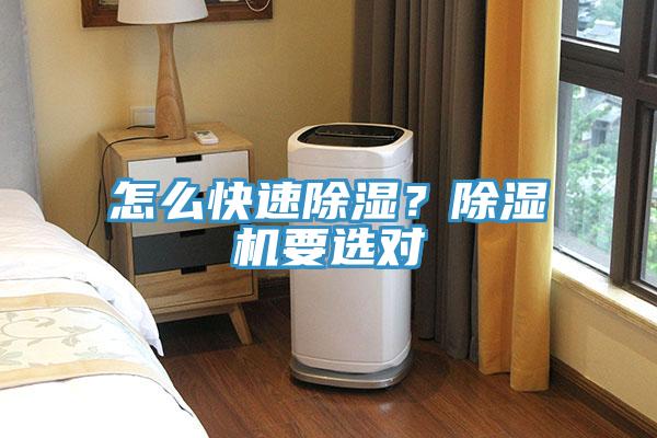 怎么快速除湿？除湿机要选对