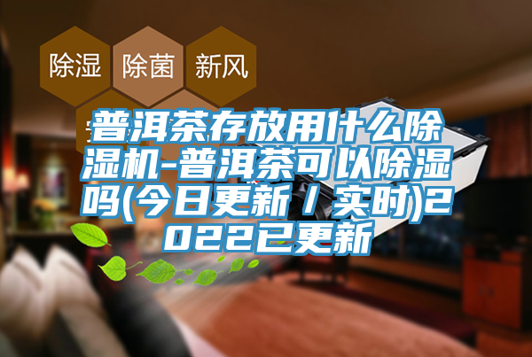 普洱茶存放用什么除湿机-普洱茶可以除湿吗(今日更新／实时)2022已更新