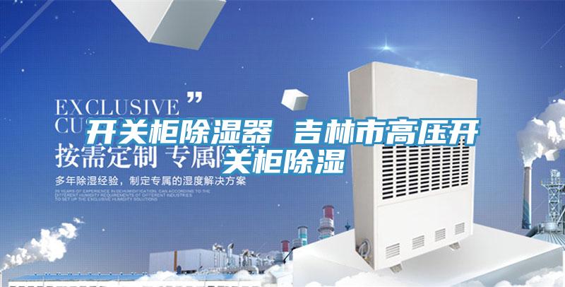 开关柜除湿器 吉林市高压开关柜除湿
