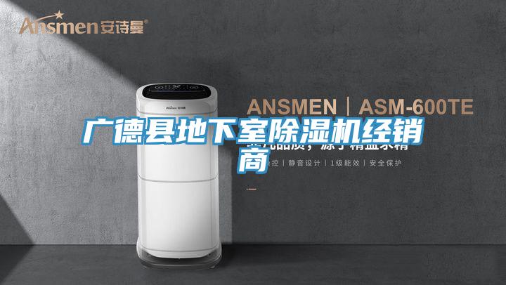 广德县地下室除湿机经销商