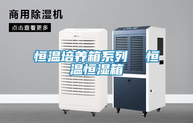 恒温培养箱系列  恒温恒湿箱