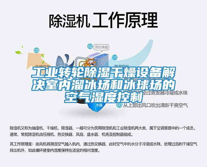 工业转轮除湿干燥设备解决室内溜冰场和冰球场的空气湿度控制