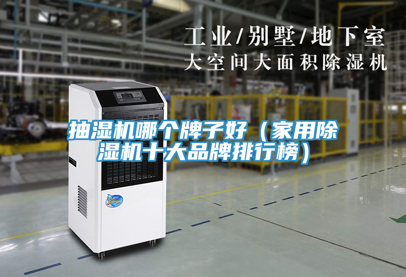 抽湿机哪个牌子好（家用除湿机十大品牌排行榜）