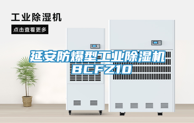 延安防爆型工业除湿机 BCFZ10