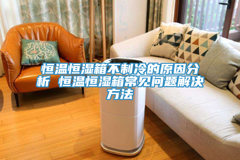 恒温恒湿箱不制冷的原因分析 恒温恒湿箱常见问题解决方法
